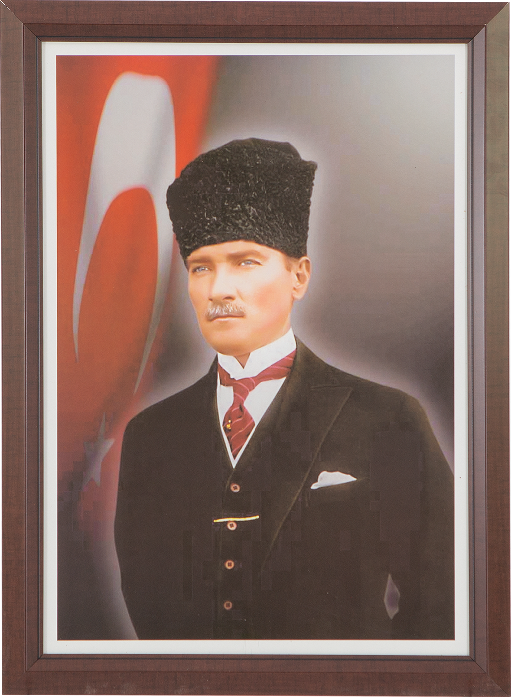 Laminate Framed Special Atatürk Collection